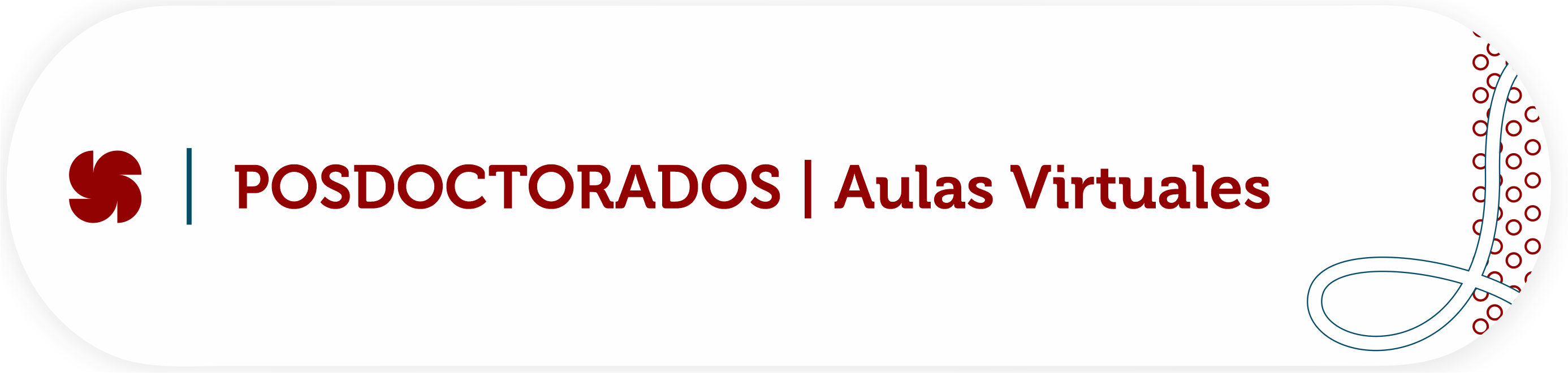 Acceso aulas virtuales de las Posdoctorados