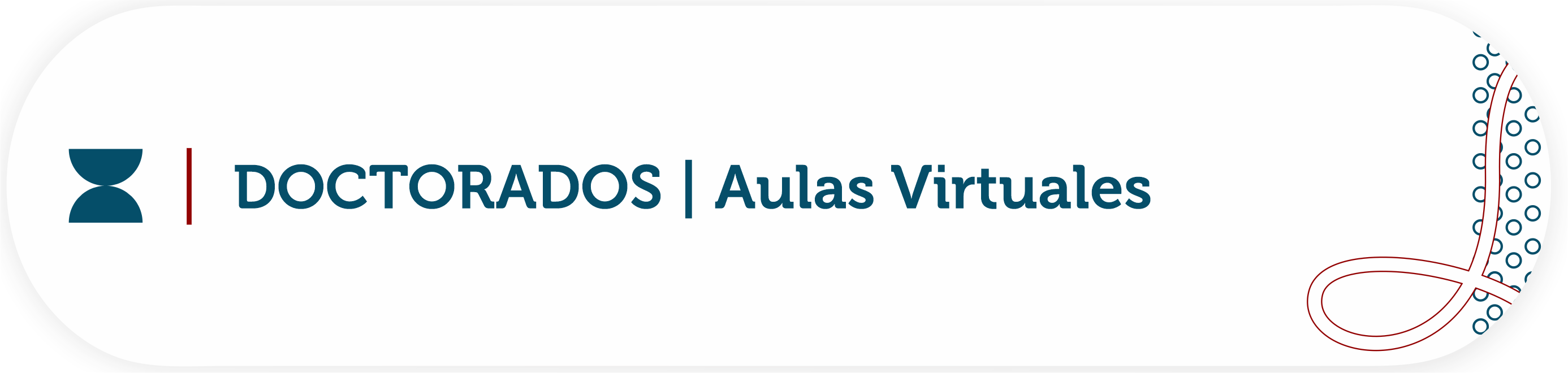 Acceso aulas virtuales de las Doctorados