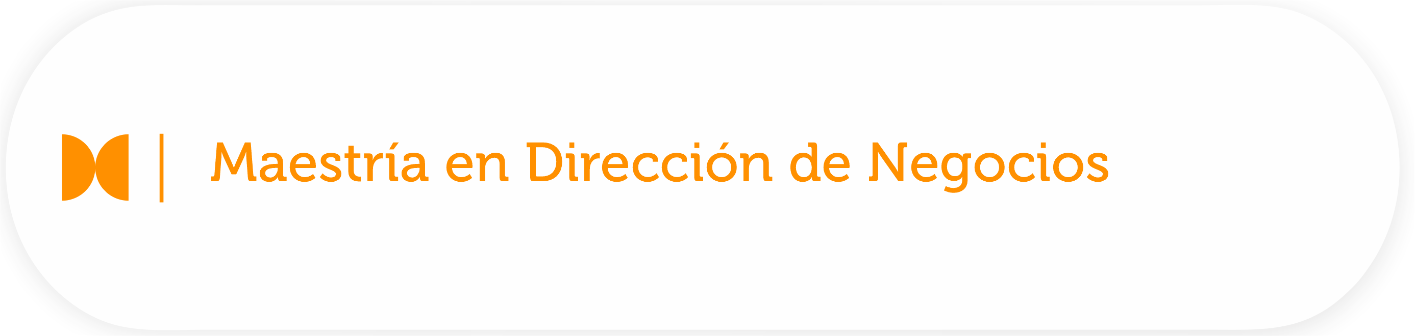 Maestría en Dirección de Negocios